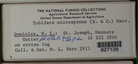 Image Associated With the Occurence